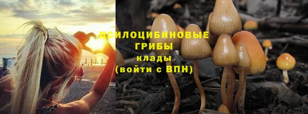 Альфа ПВП Абдулино
