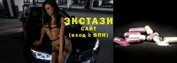 гашик Краснослободск