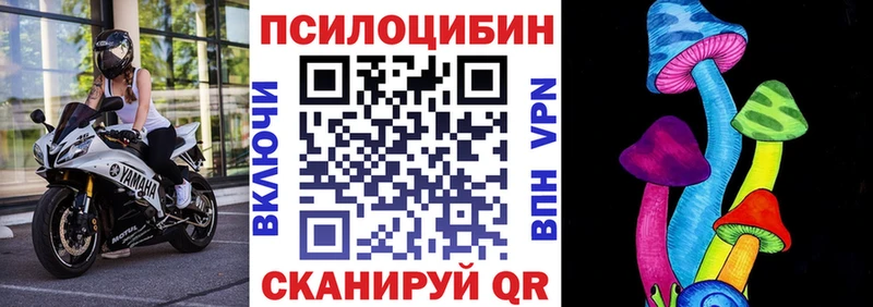 Галлюциногенные грибы Cubensis Нестеровская